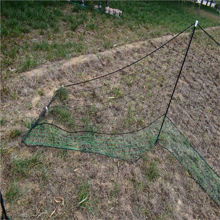 Plastic Netting For Chickens