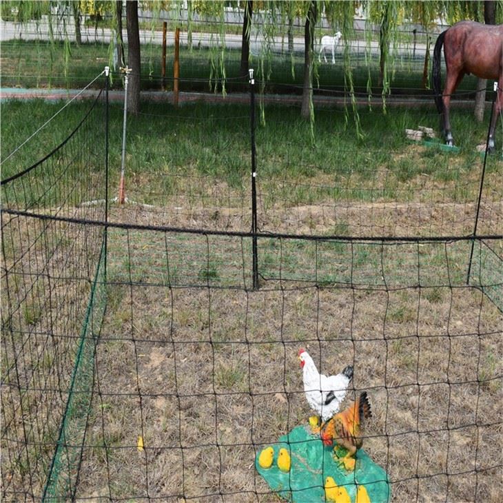 Plastic Netting For Chickens